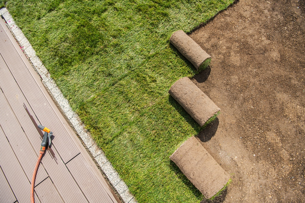 Industrie de l'aménagement paysager. Rouleaux de gazon nouvellement installés à côté d'une terrasse de piscine. Thème industriel.